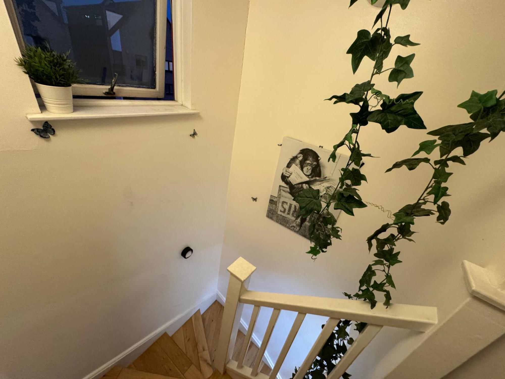 Cozy Rooms Near Central Londra Esterno foto